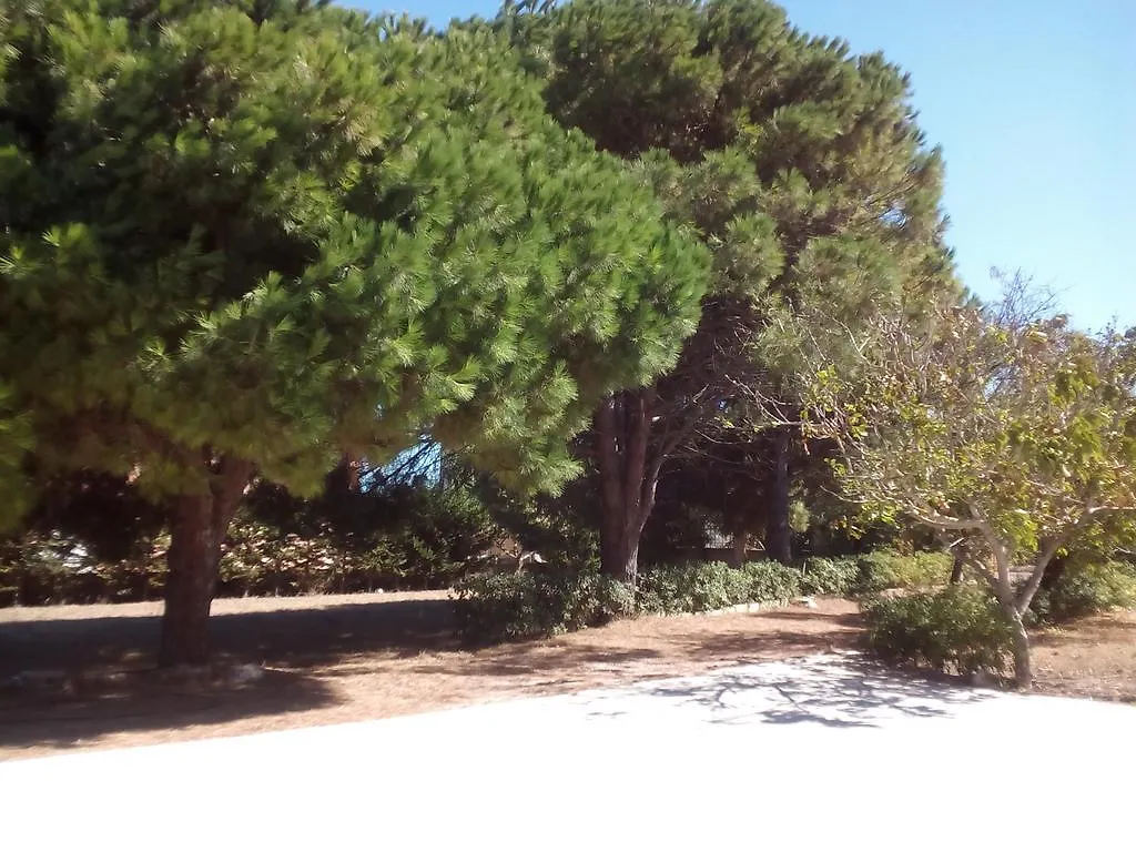 Il Mandorlo Apartment Platamona Italy